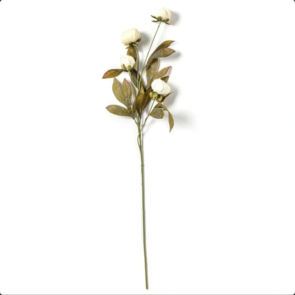 Cream White Michael’s Ashland Viral Peonies Flowers • Set of 8 Peony Stems